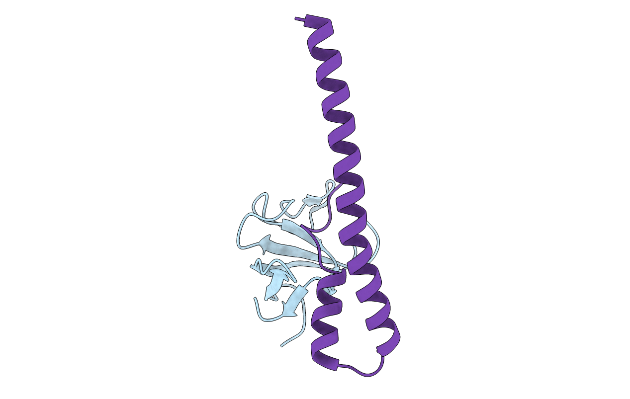 1TXQ image