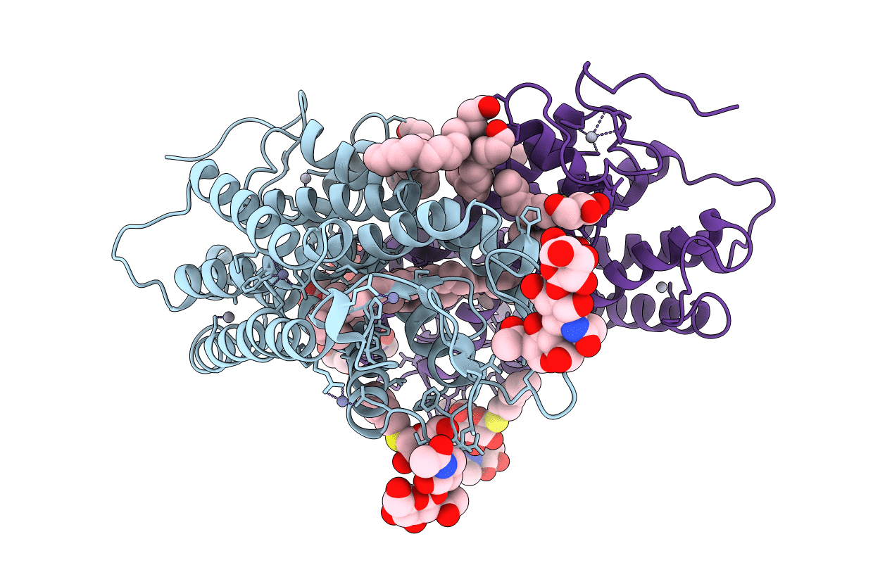 1U19 image