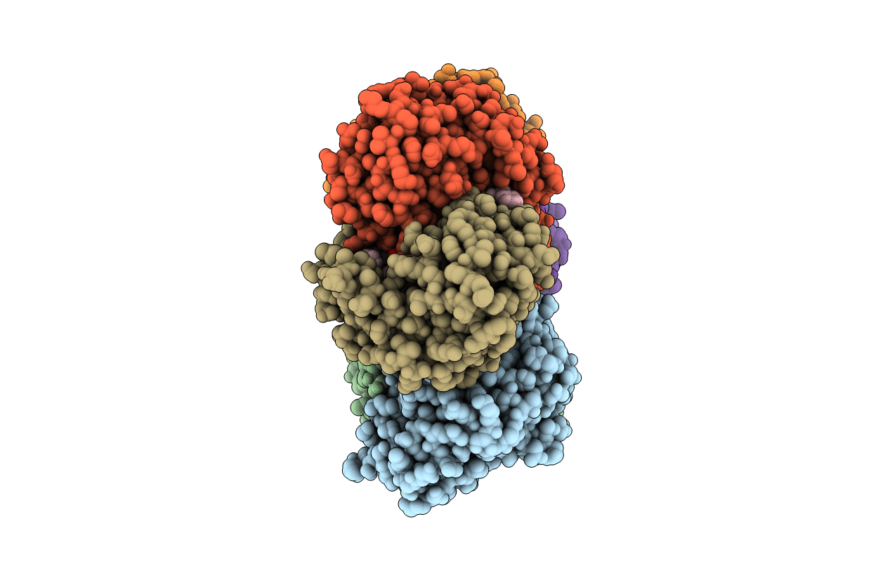 1U1C image