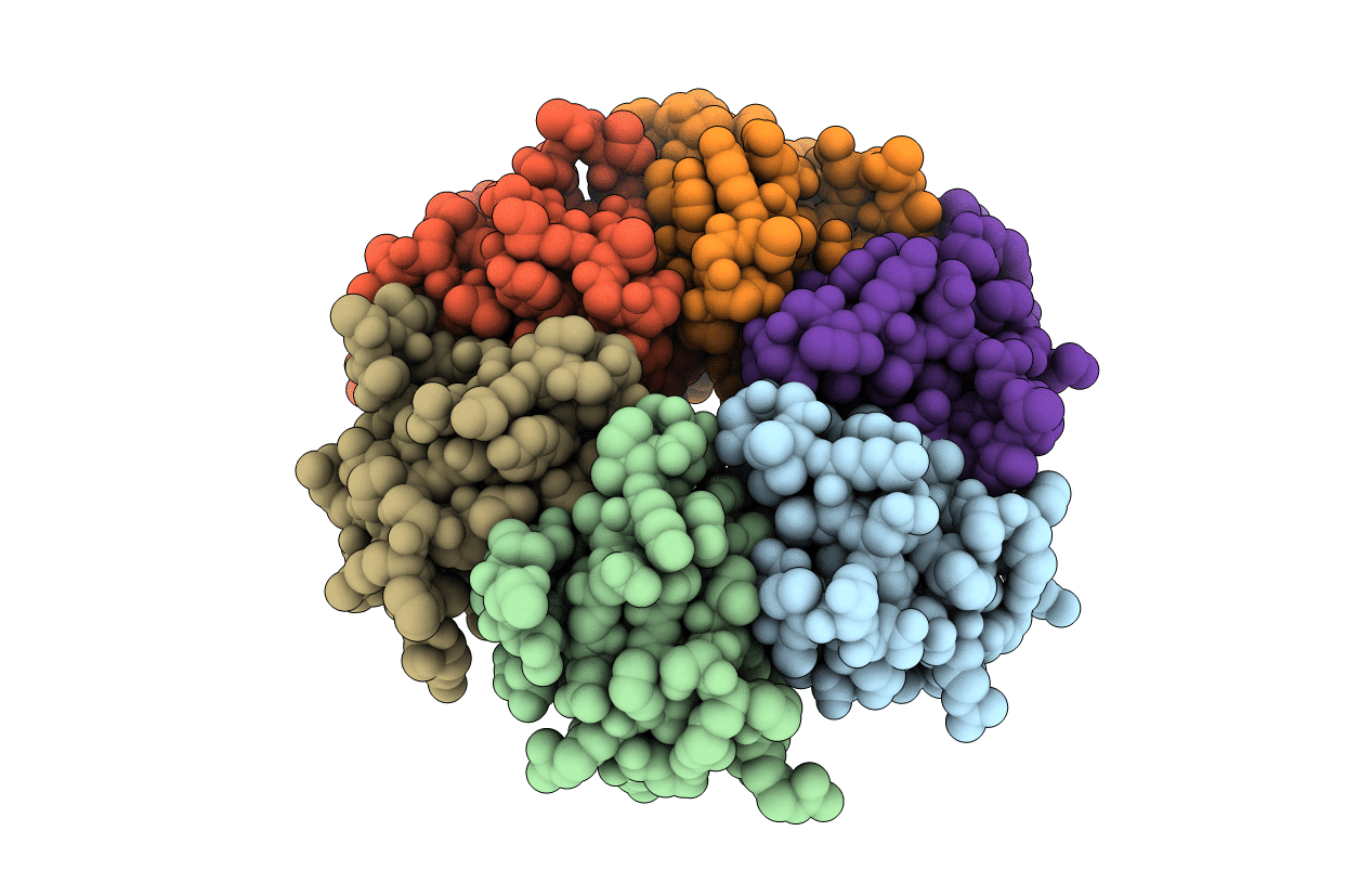 1U1S image