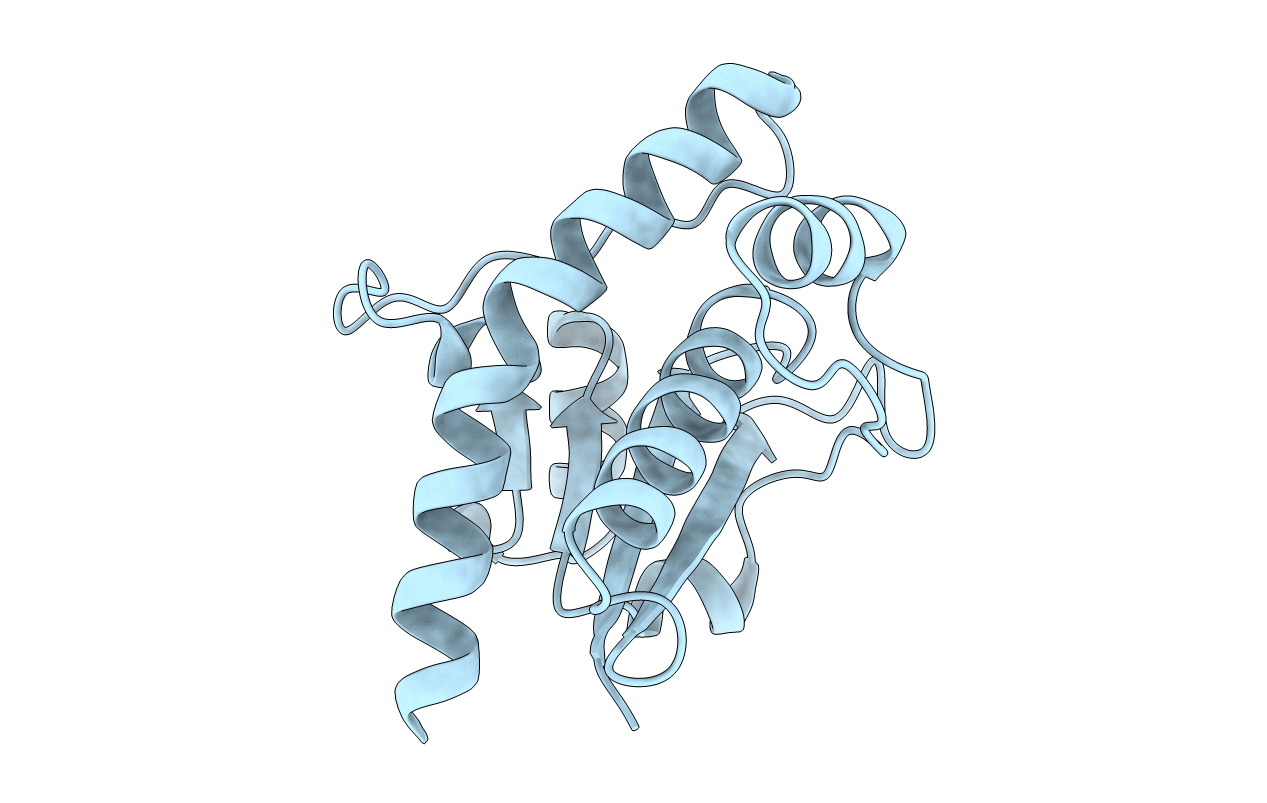 1U2P image