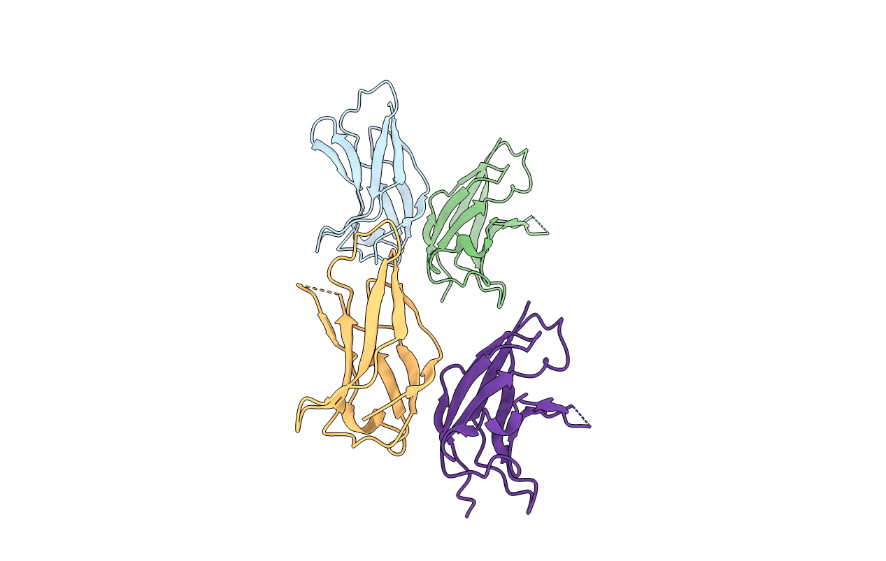 1U41 image