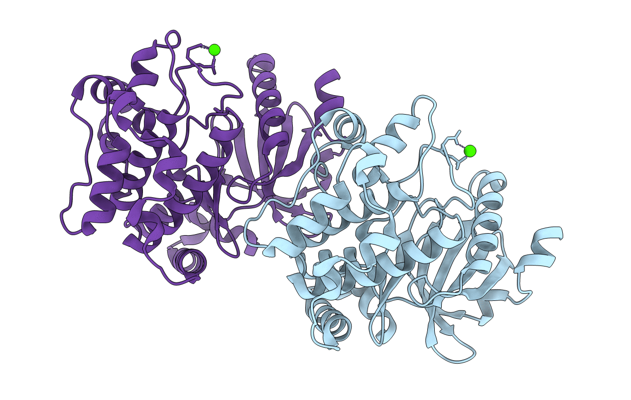 1U5Q image
