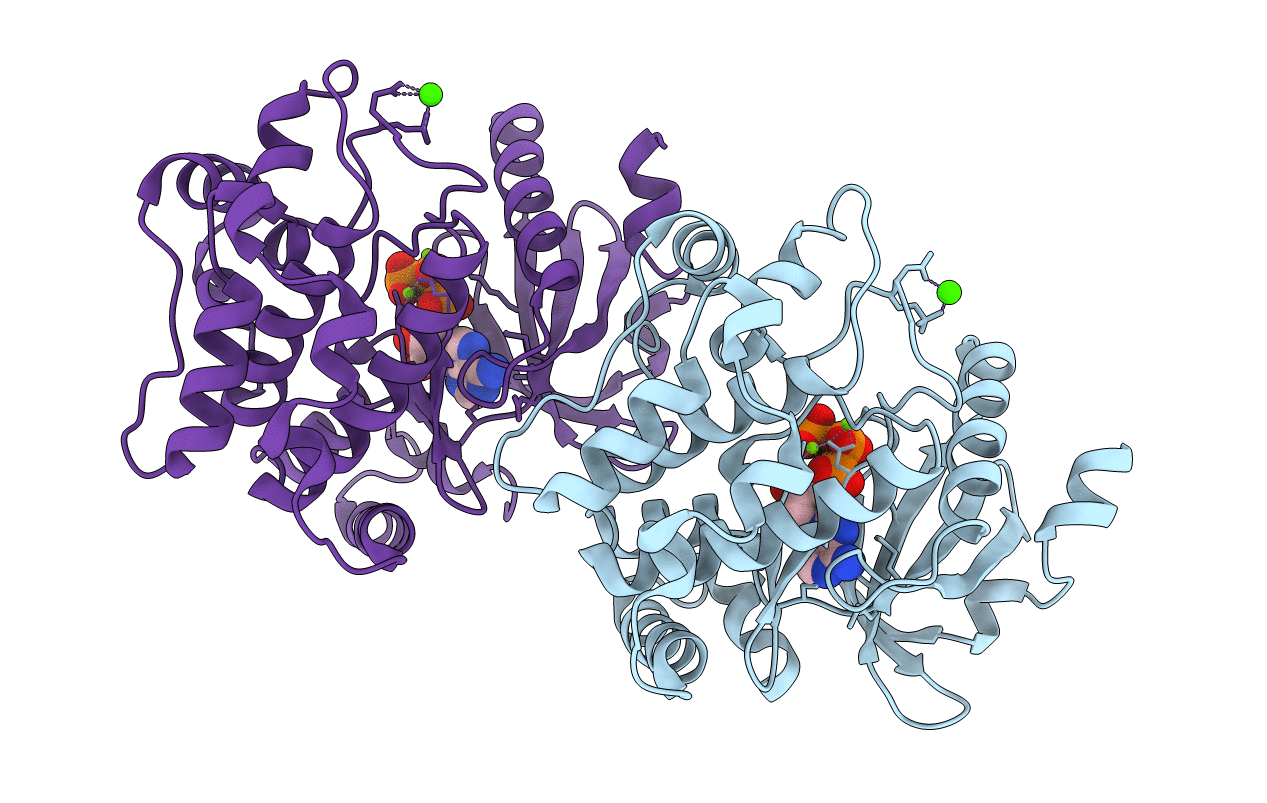 1U5R image