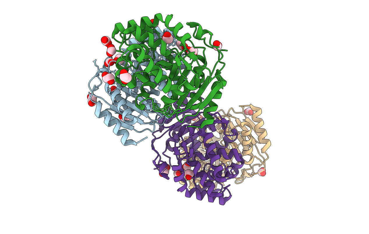 1U60 image