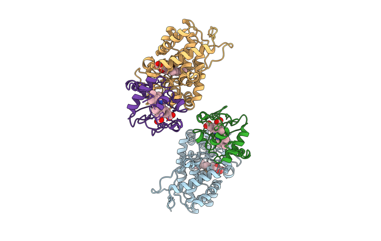 1U74 image