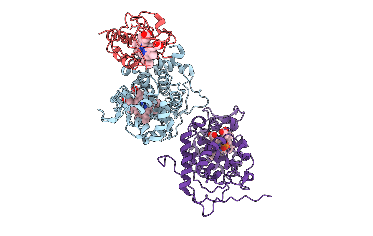 1U75 image