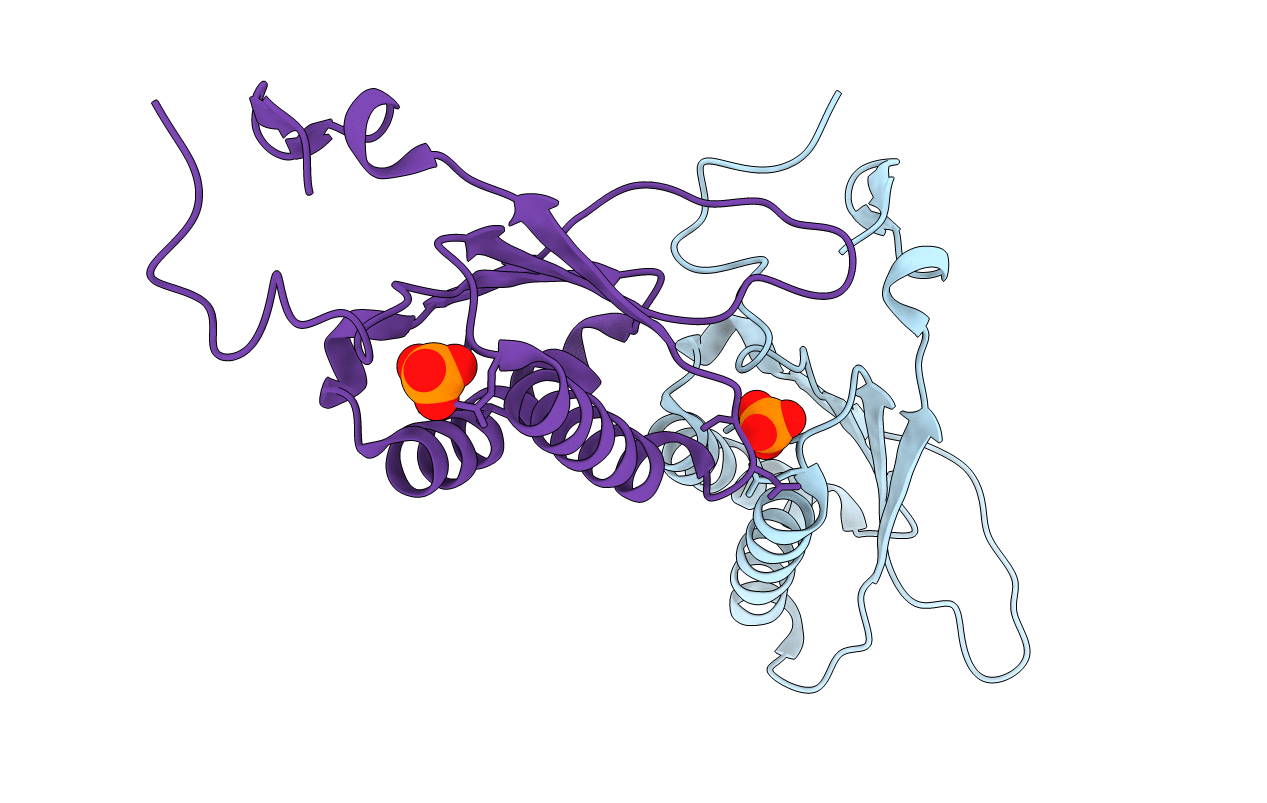 1U9D image