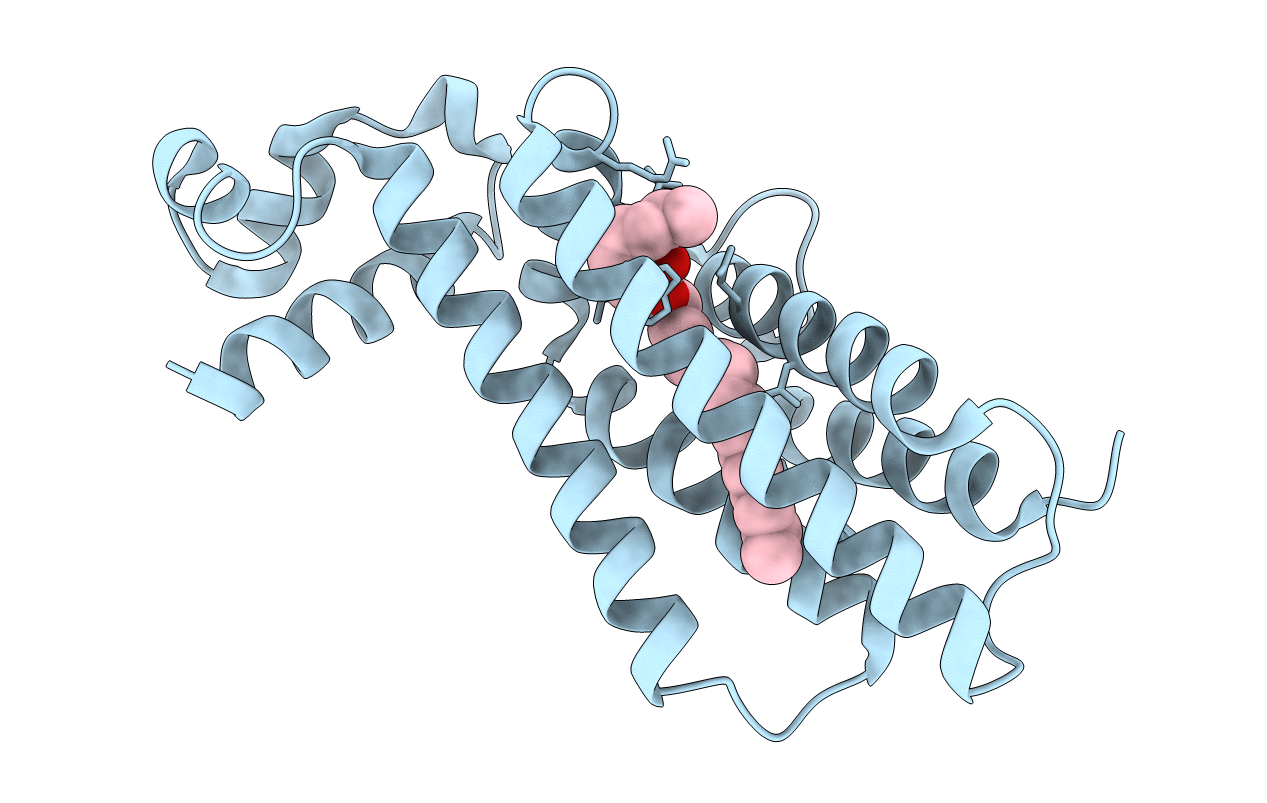 1u9n image