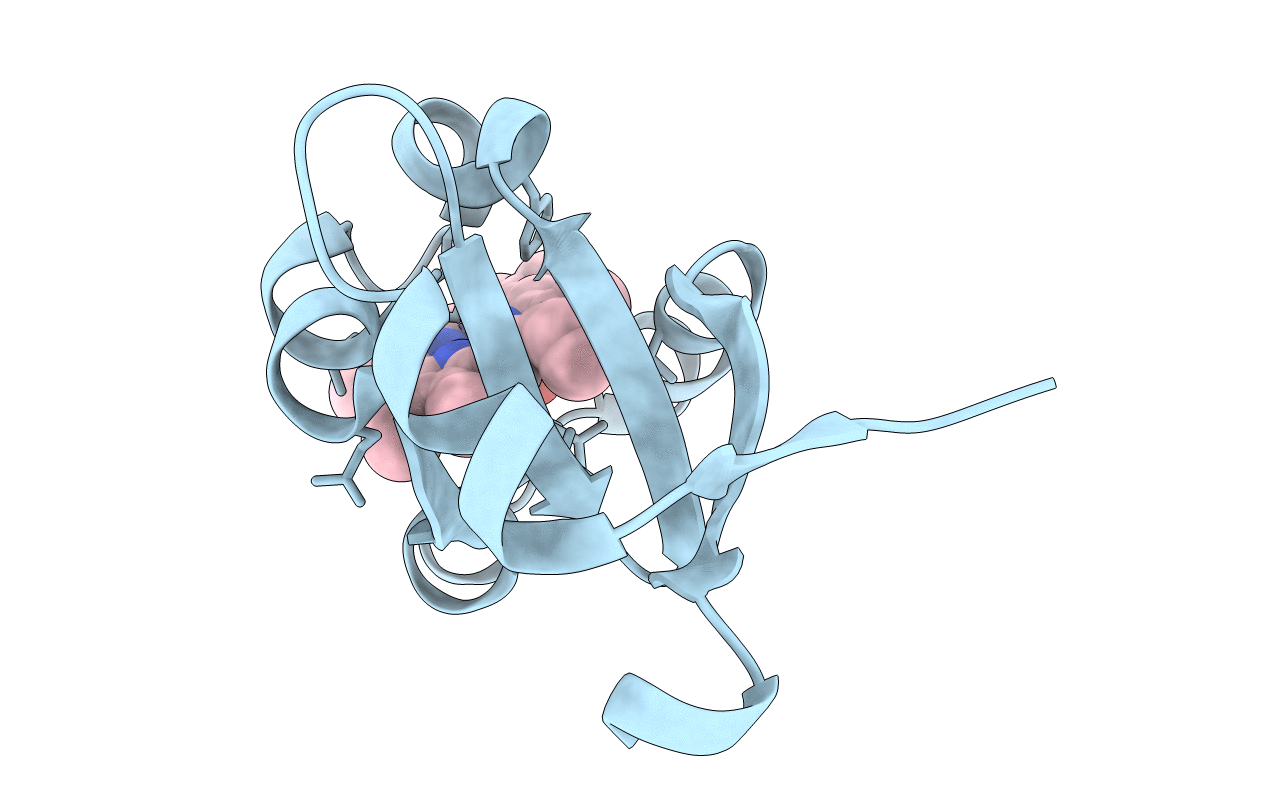 1U9U image