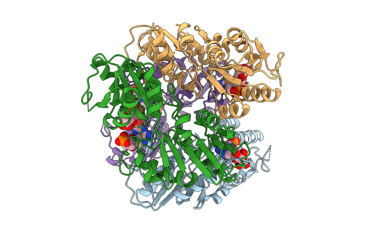 1U9Z image