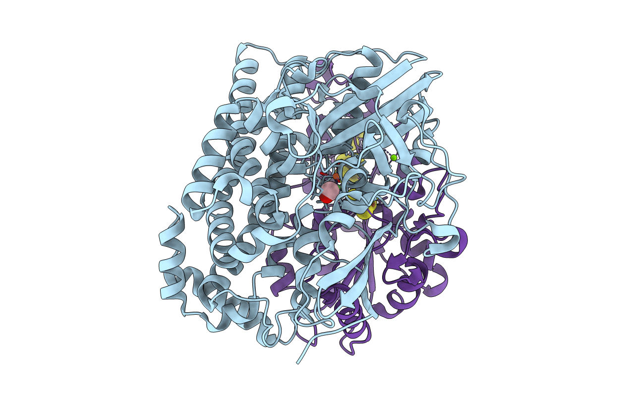 1UBJ image