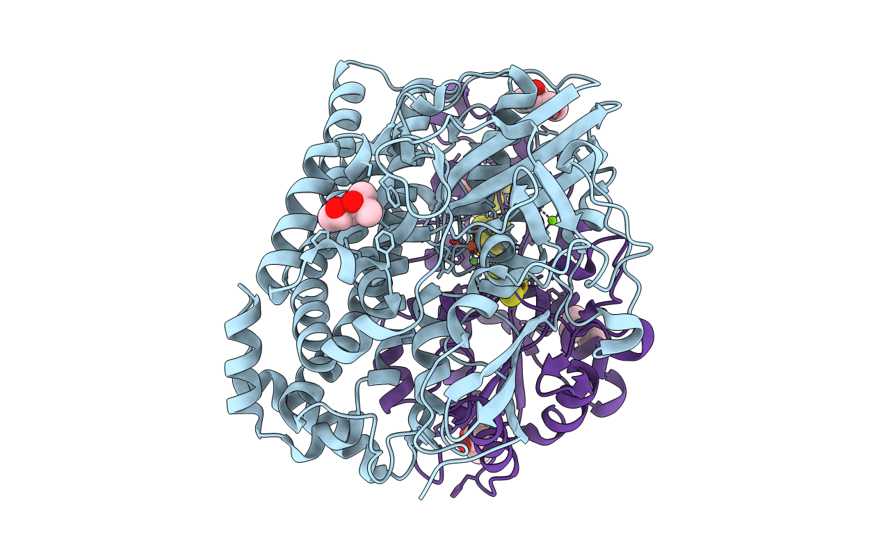 1UBM image