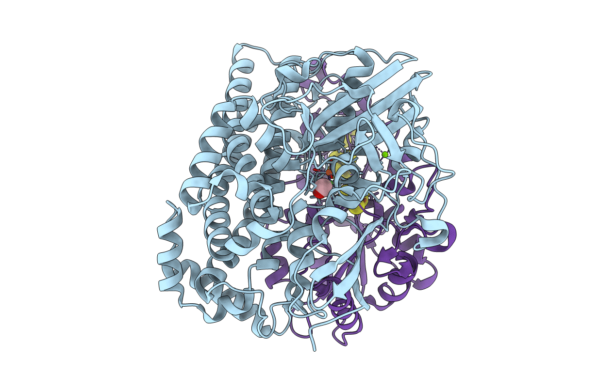1UBR image