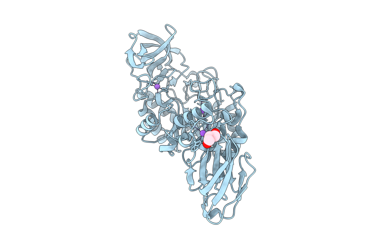 1UD2 image