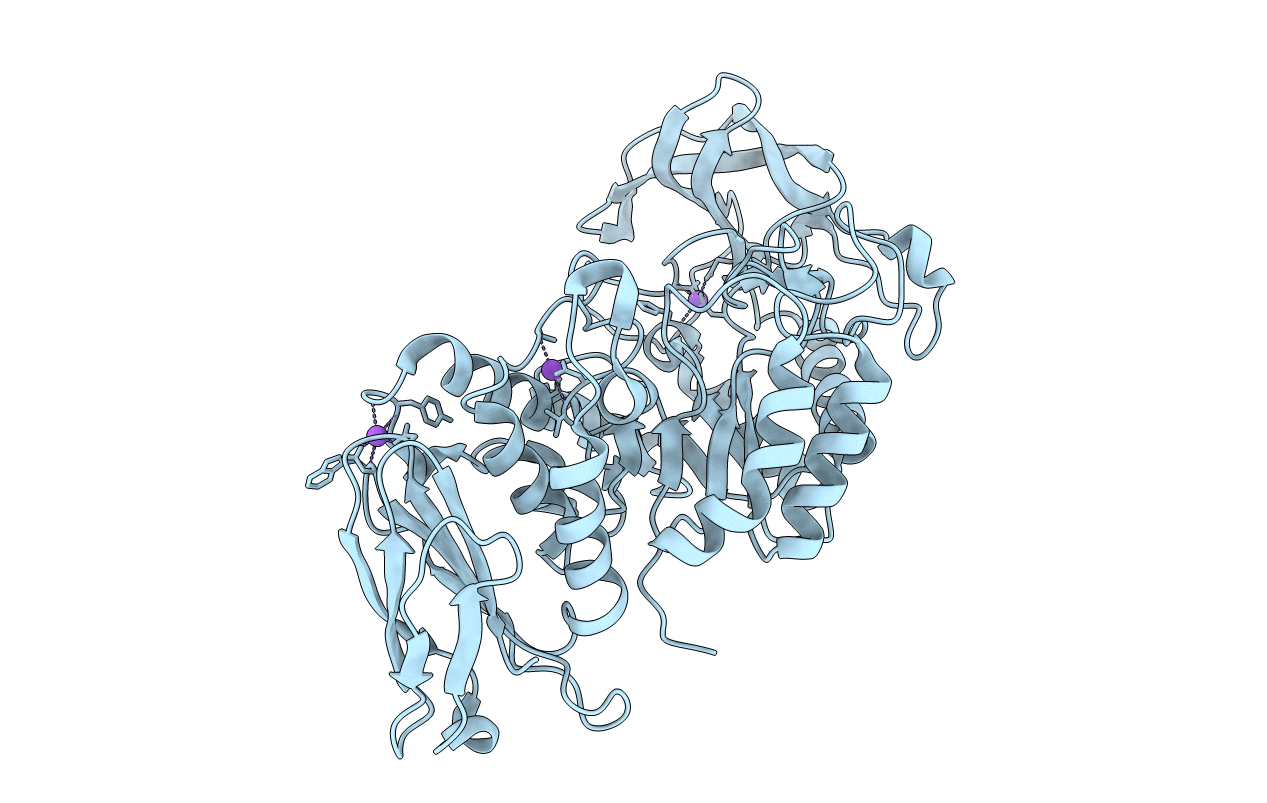 1UD4 image