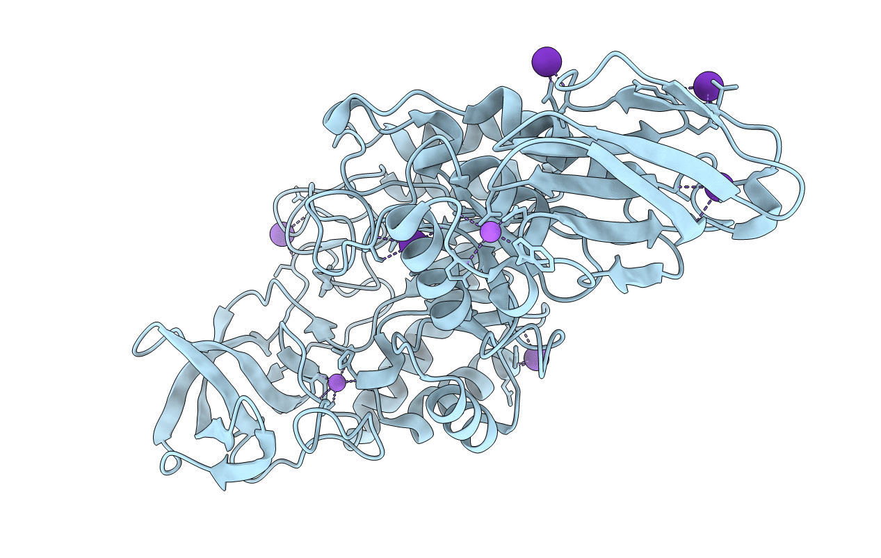 1UD5 image