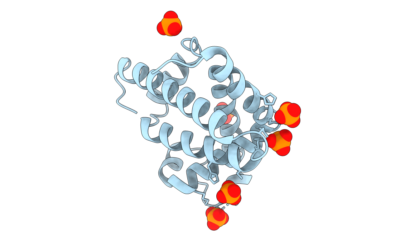 1UFP image