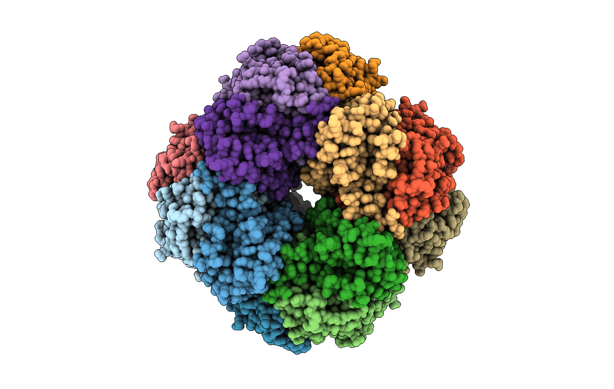 1UPM image