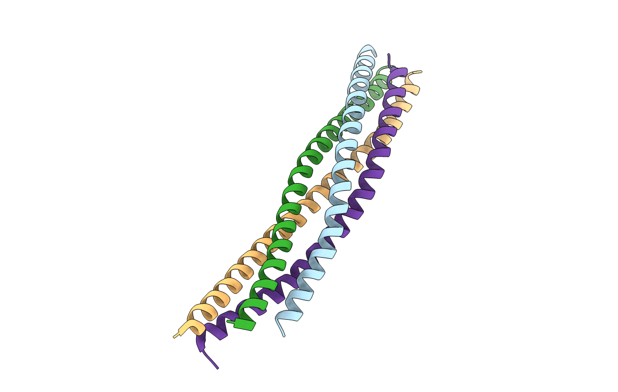 1URQ image