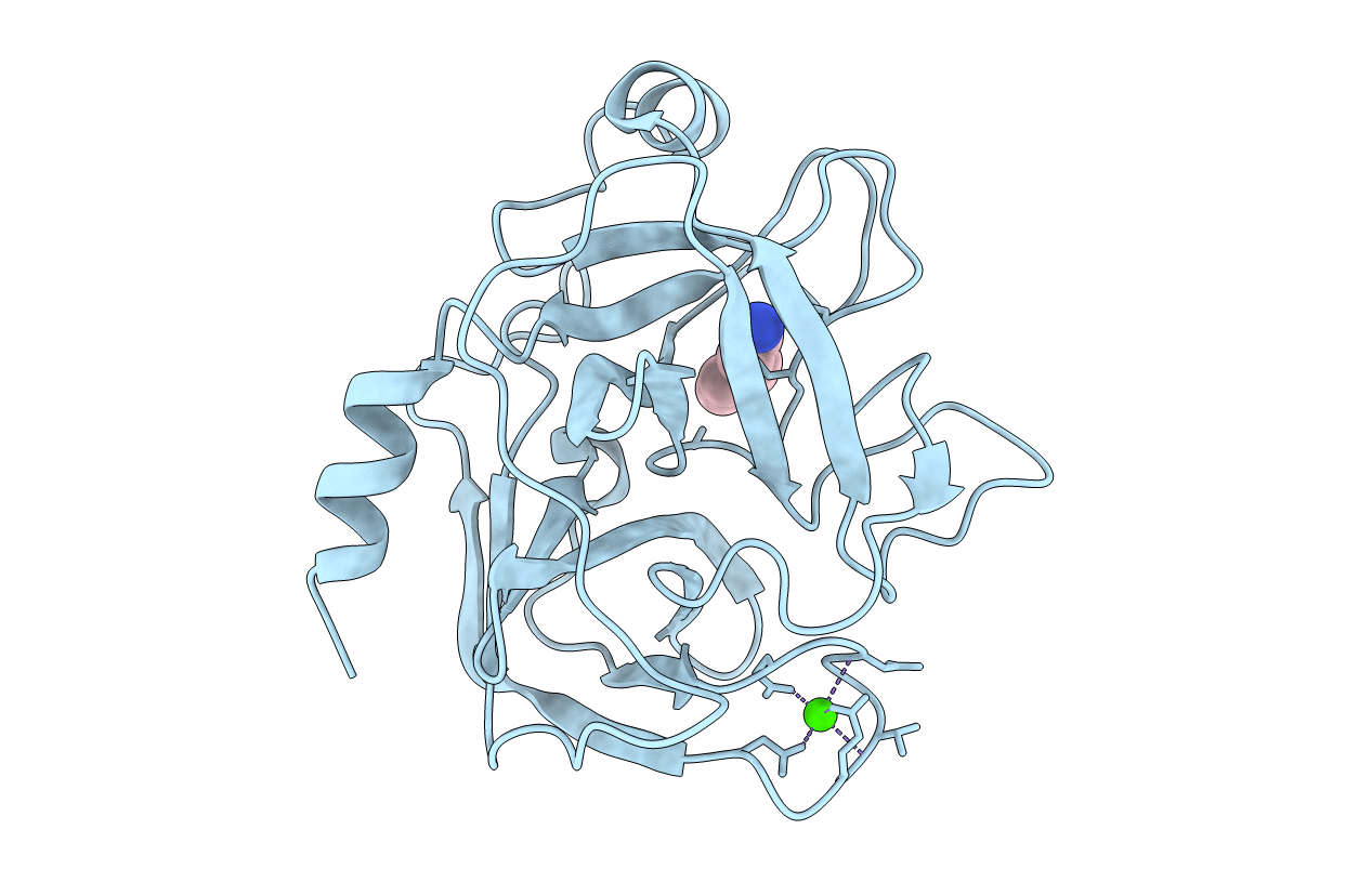 1UTM image