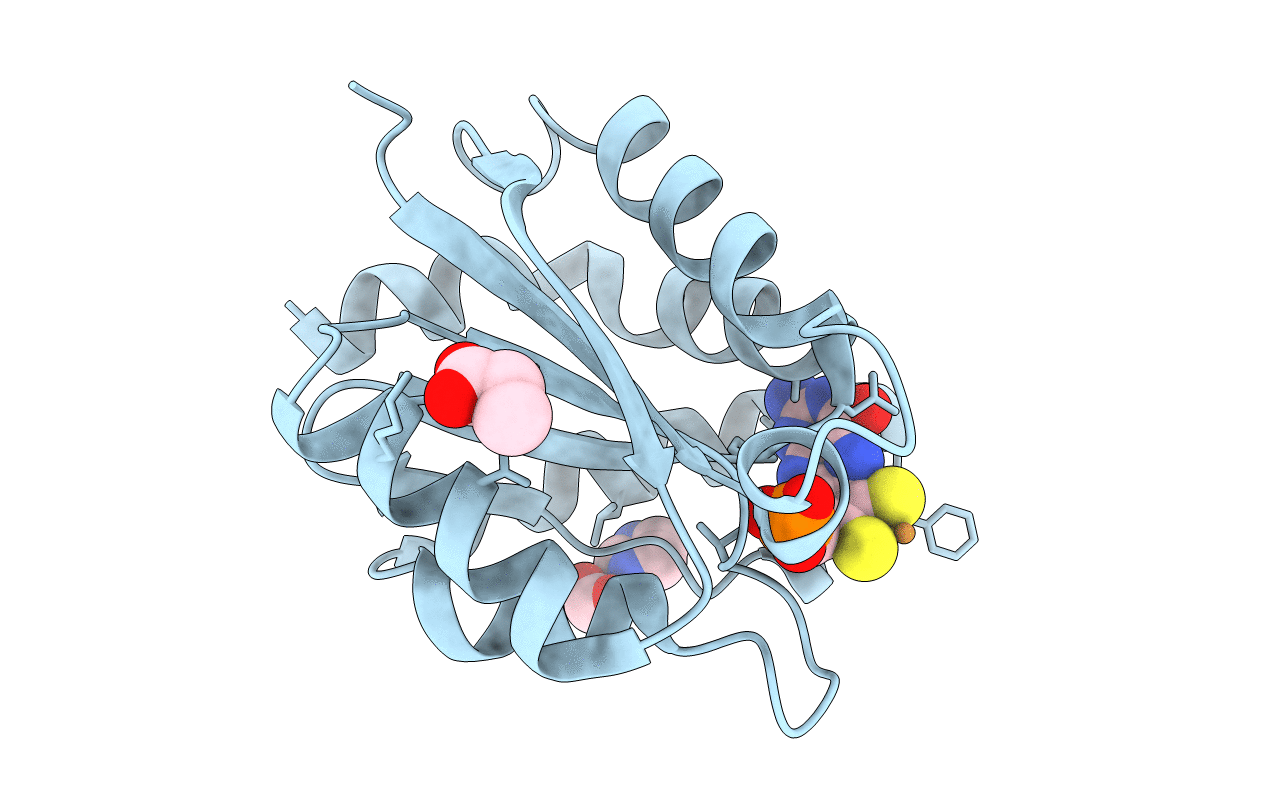 1UUX image