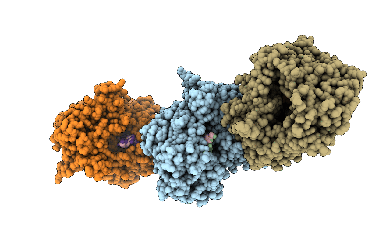 1UVL image