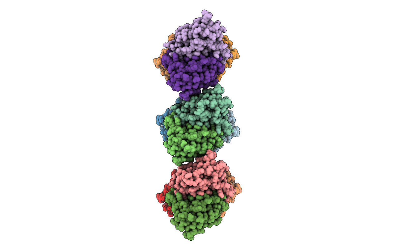 1V8P image