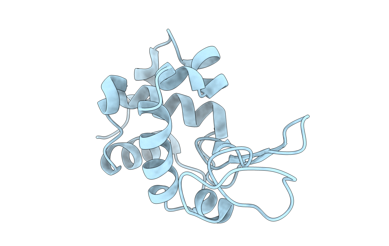 1VAT image