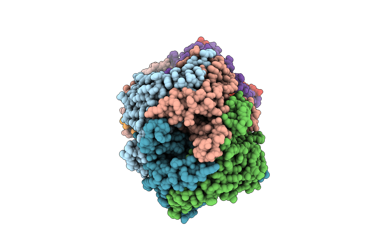 1VAX image
