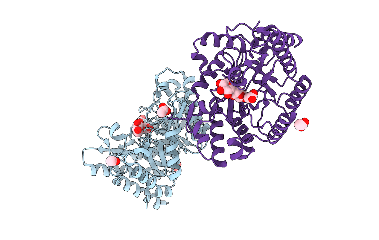 1VBR image