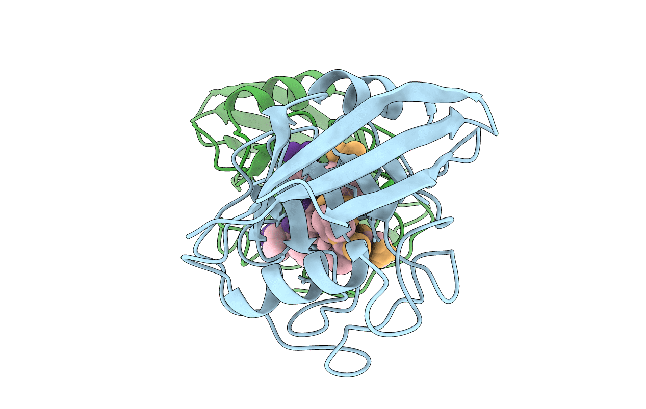 1VBT image