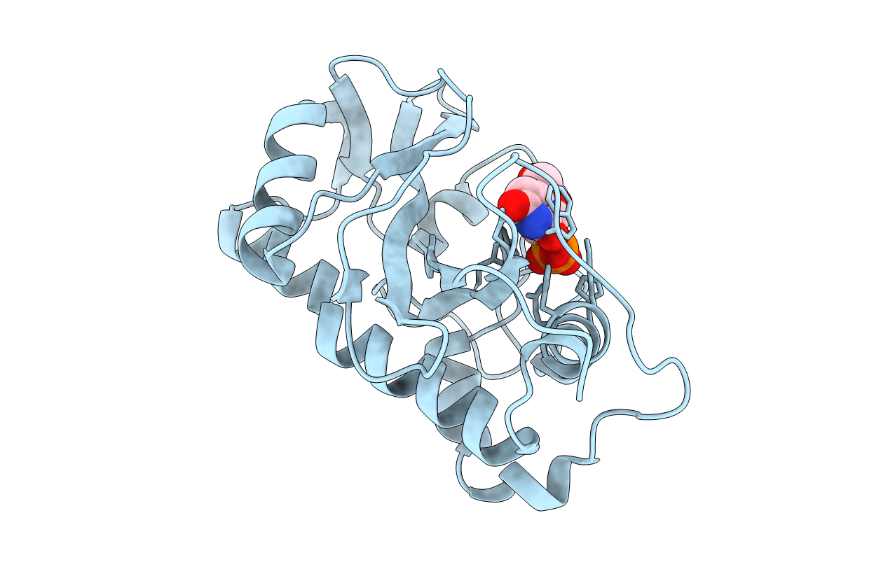 1VD3 image