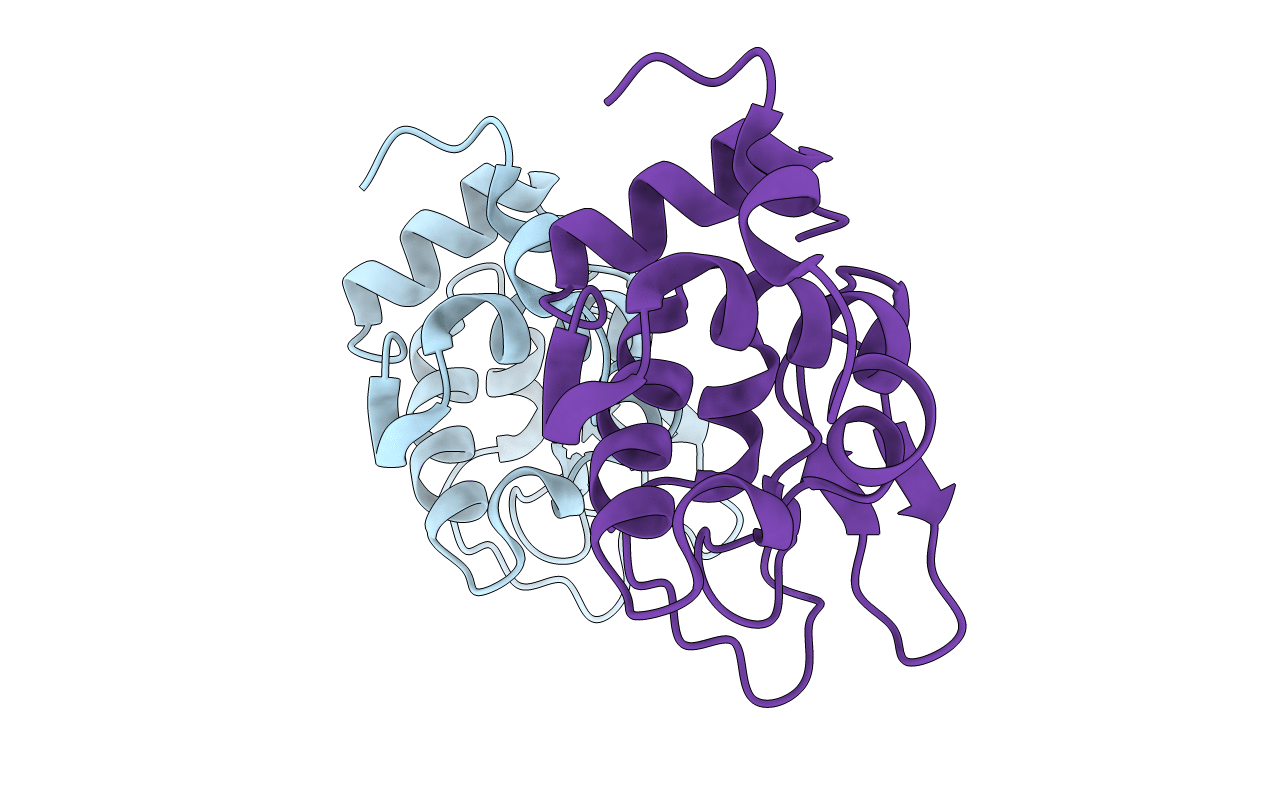 1VDP image