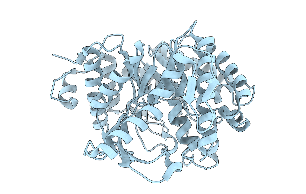 1VFF image