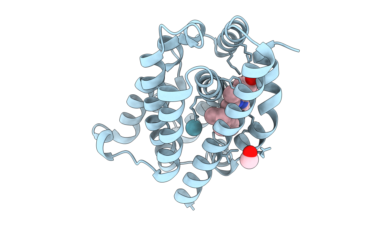 1VGI image