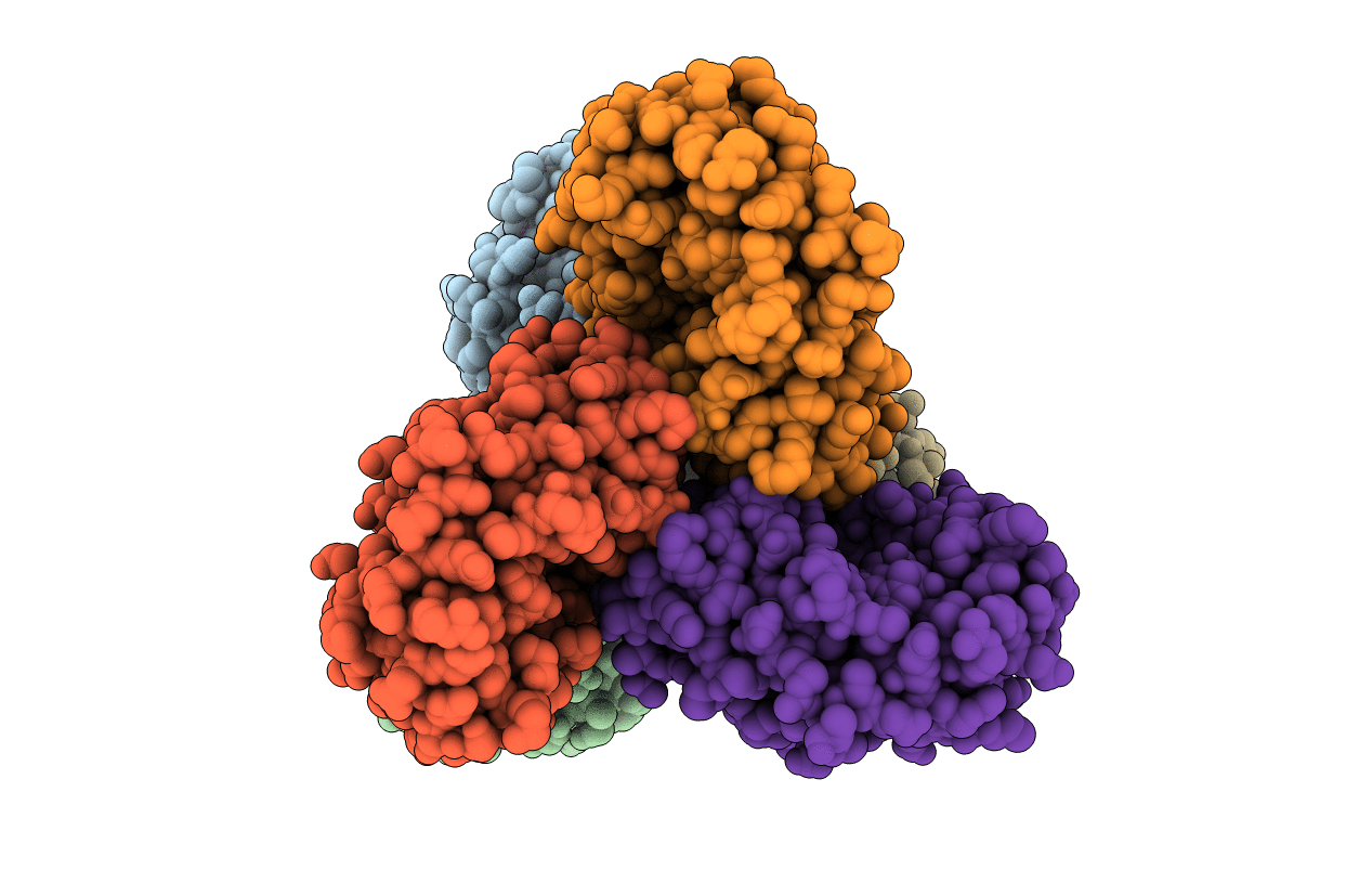 1VHC image