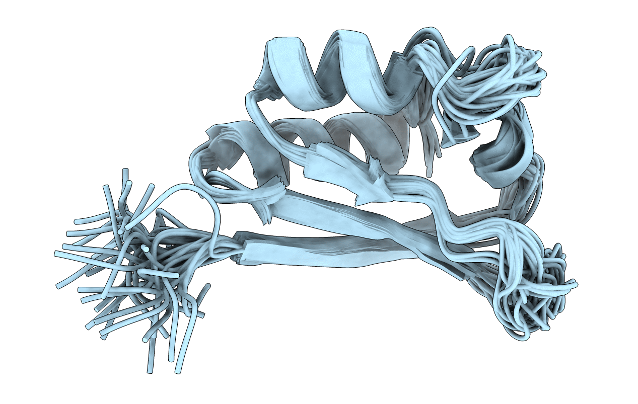 1VIG image