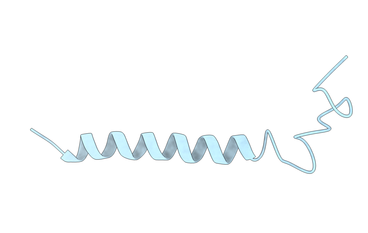 1VPC image