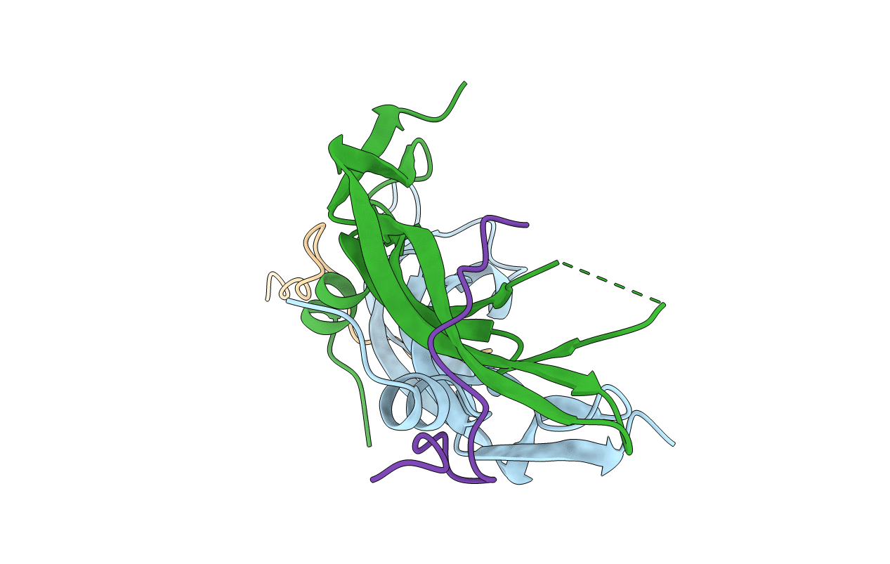 1VPP image