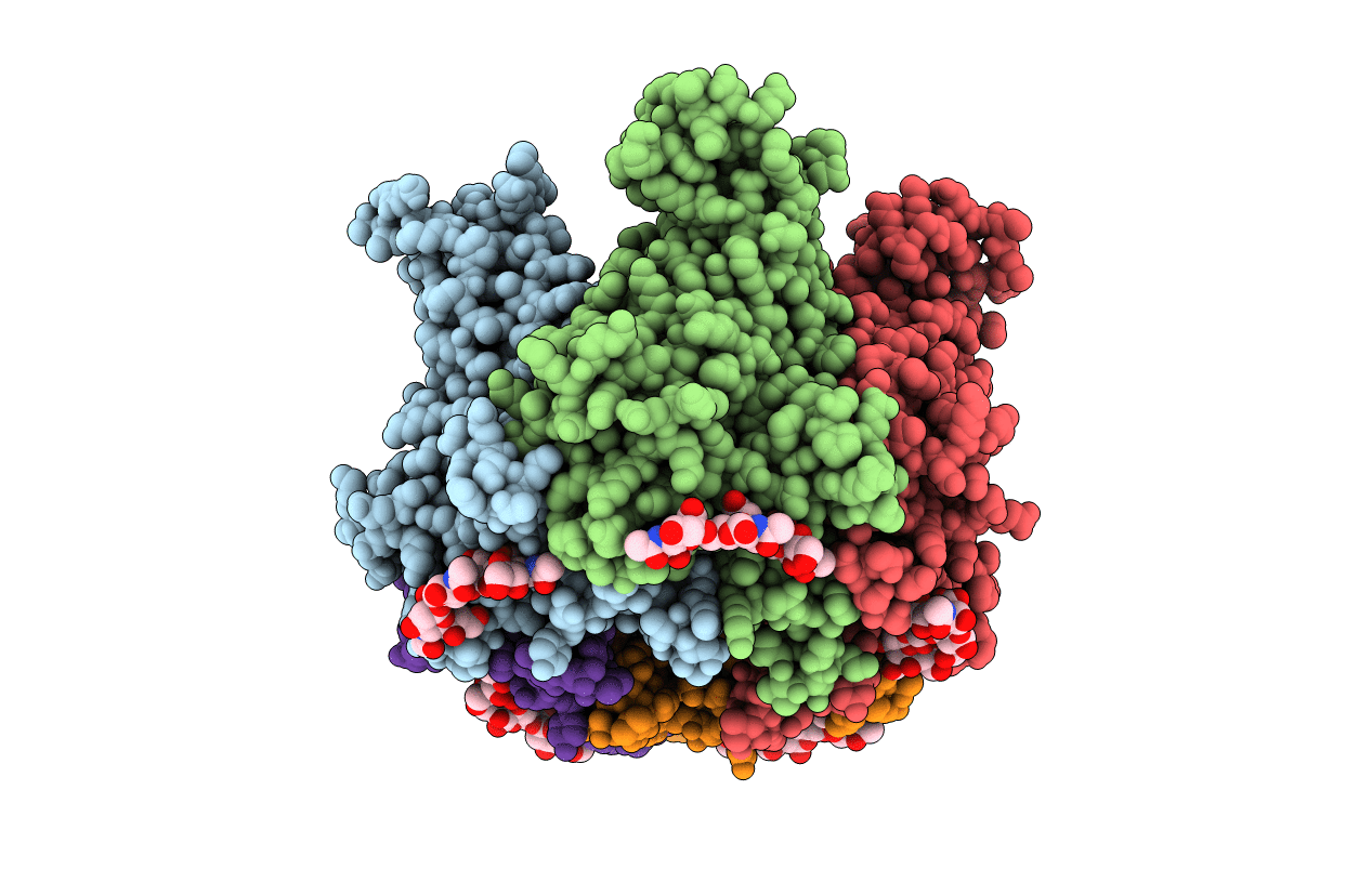 1VPS image