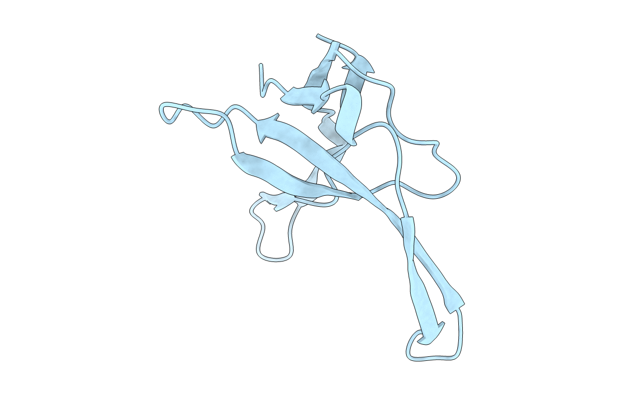 1VQF image
