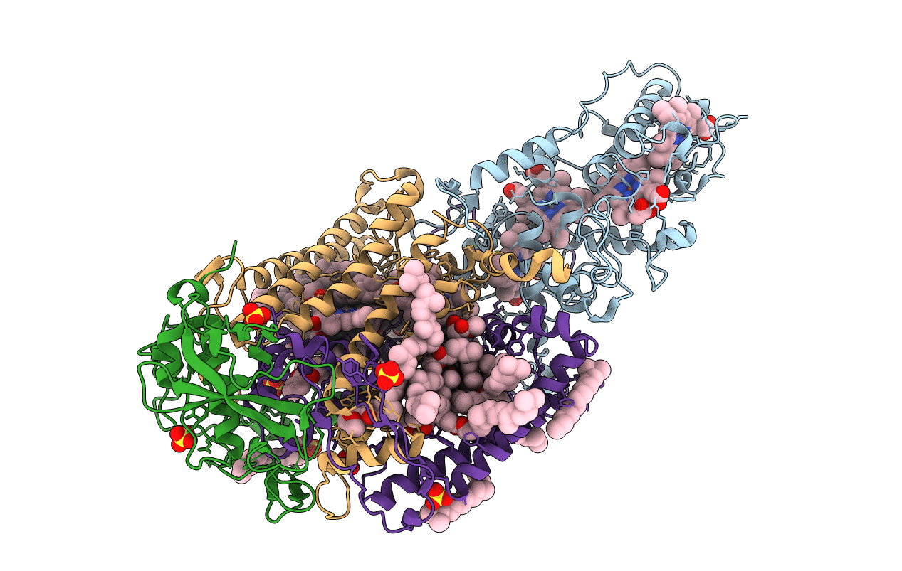 1VRN image