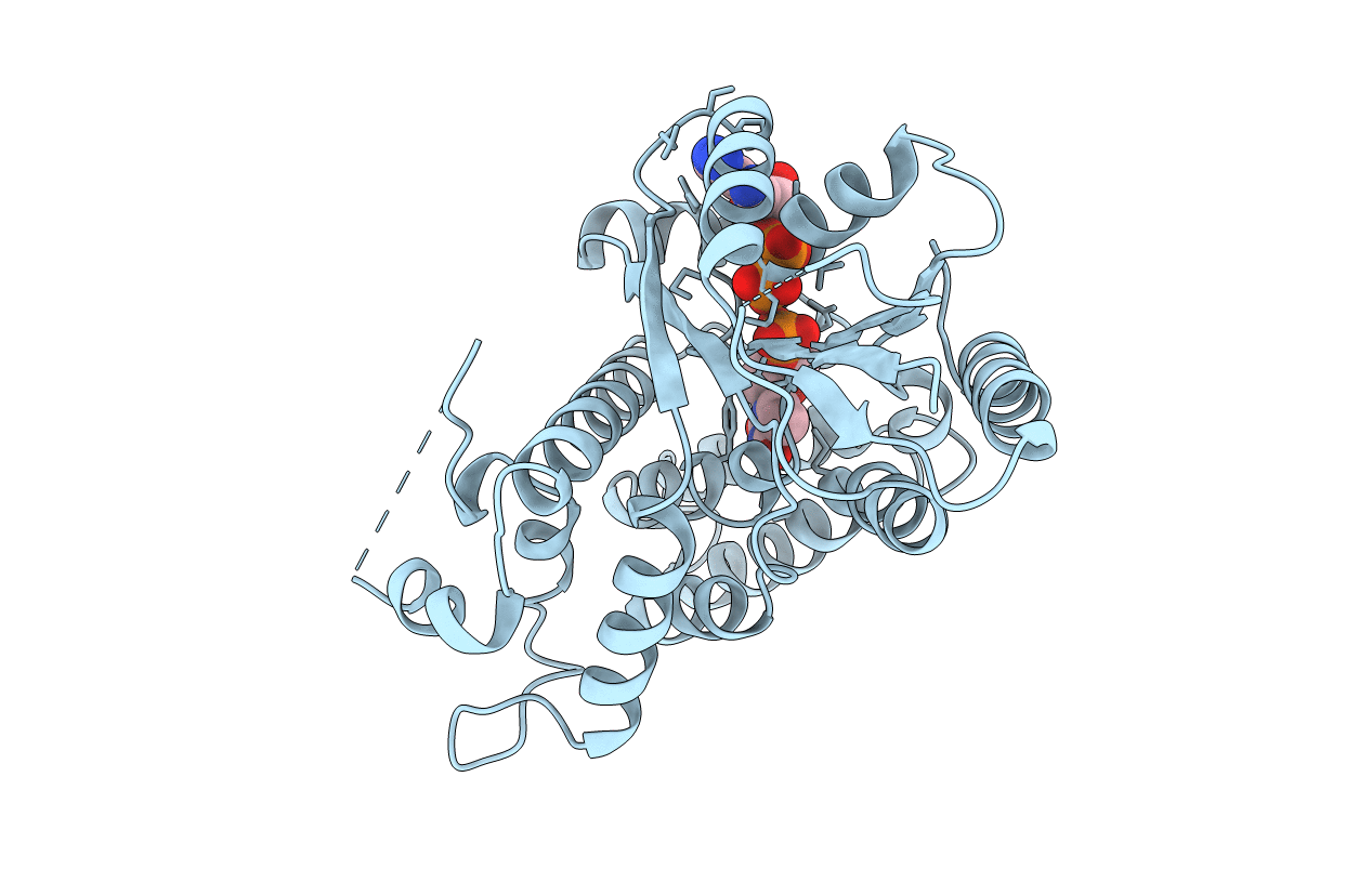 1VTK image