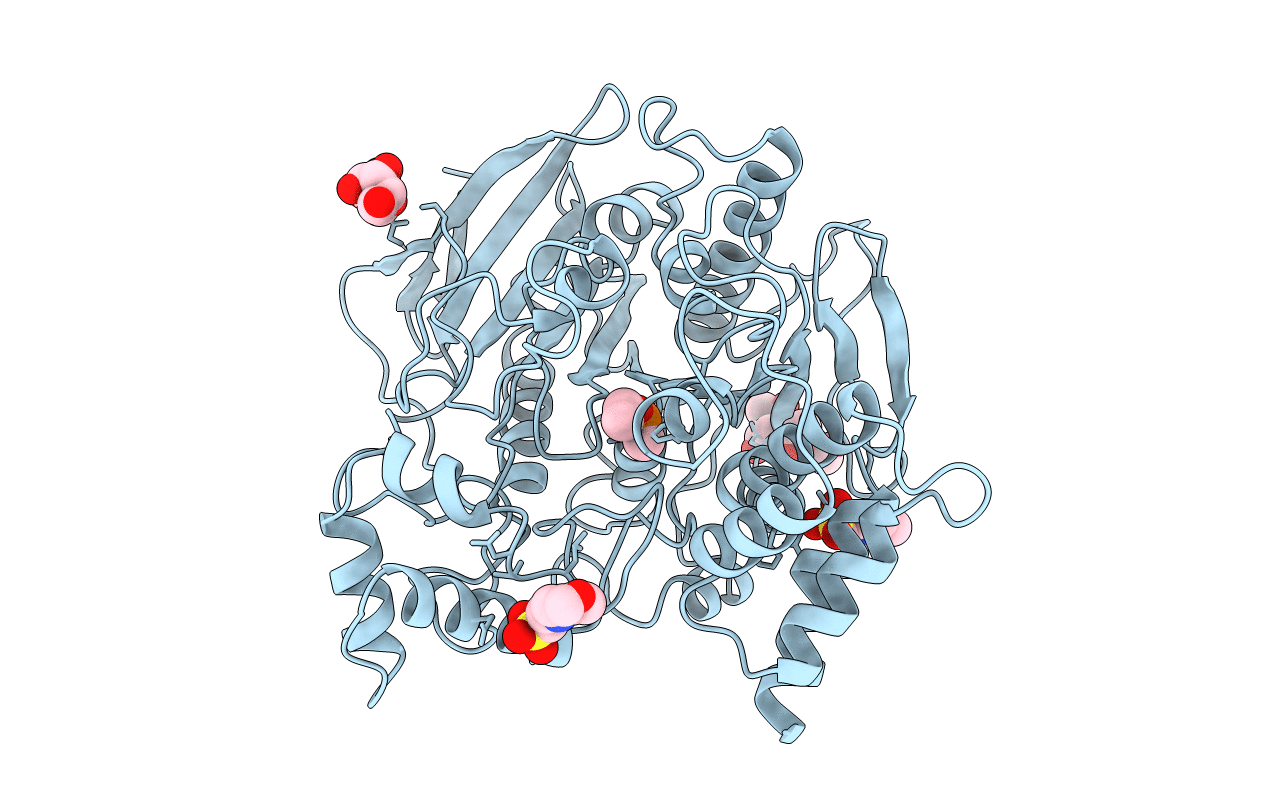 1VXR image