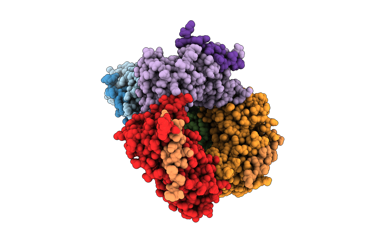1VYJ image