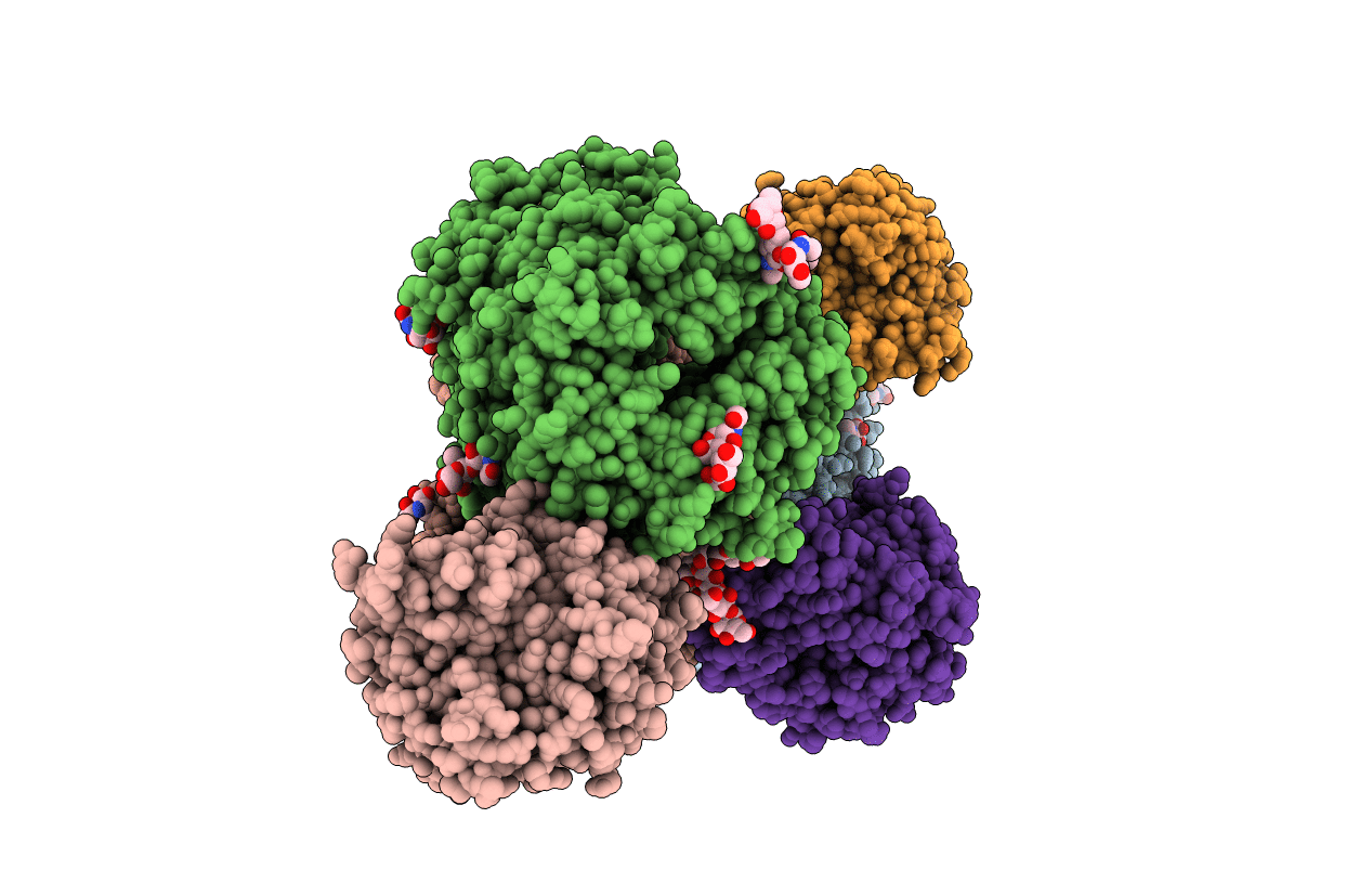 1W1I image