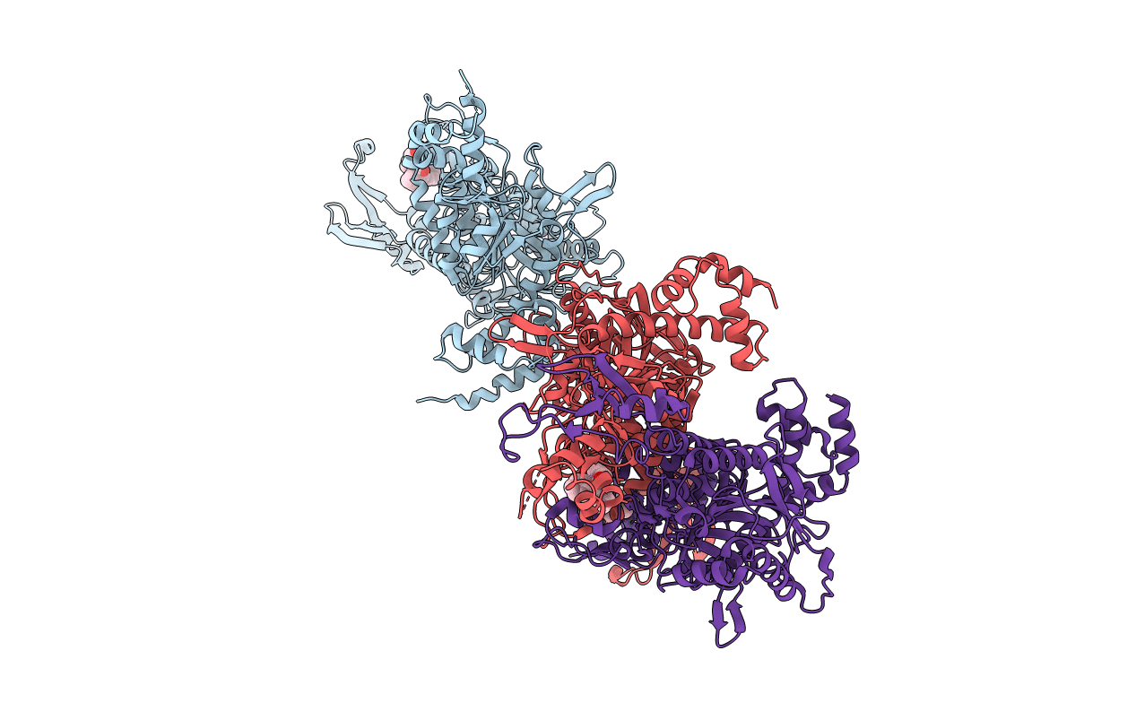 1W2X image