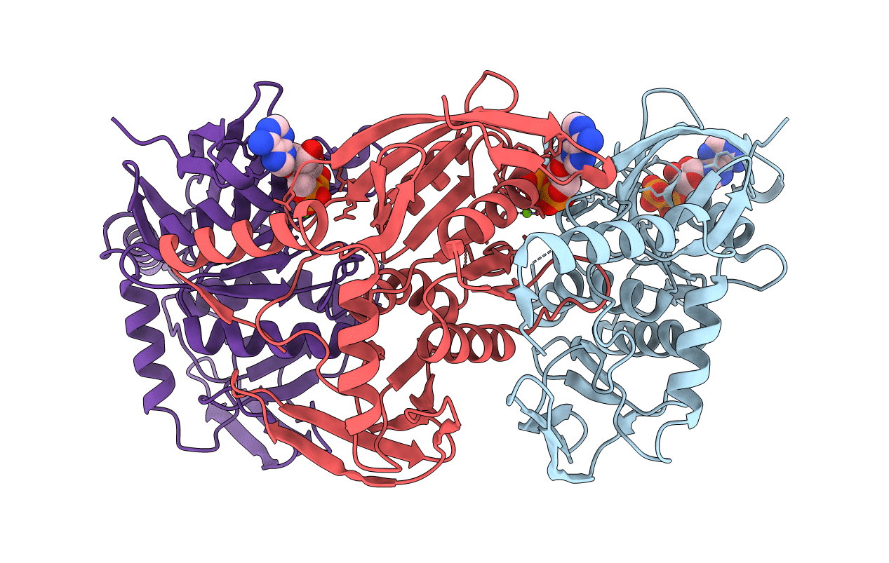 1W4B image