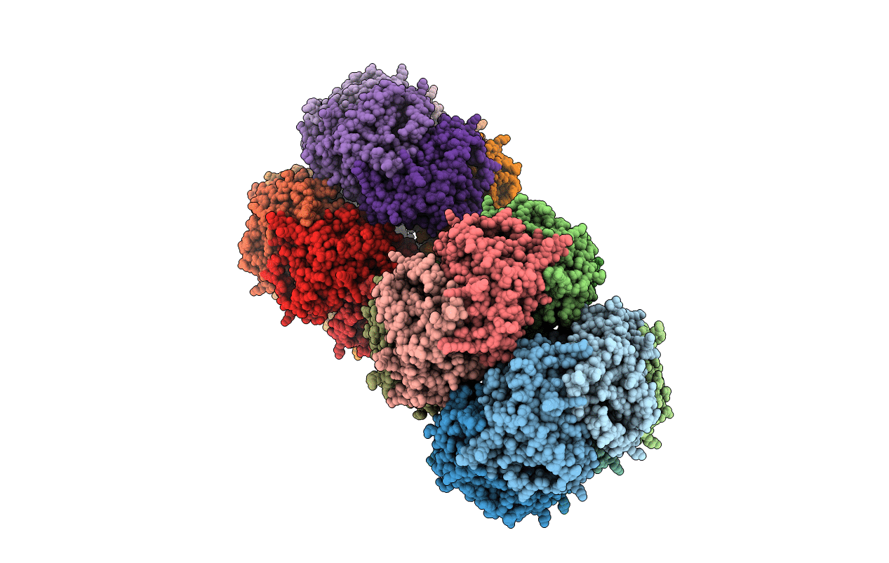 1W4C image